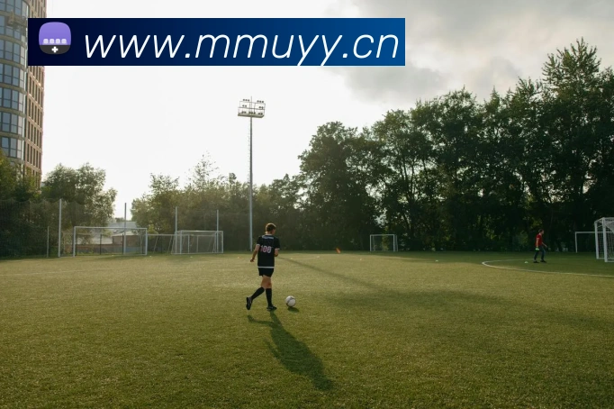 开云手机在线登陆入口发展历程